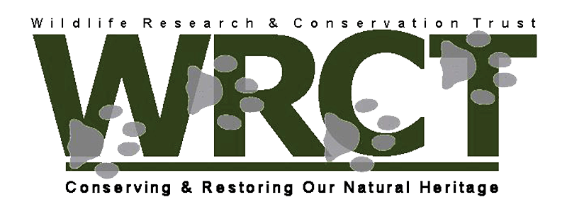 reef logo image