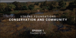 Episode 1 - Fountain of Life